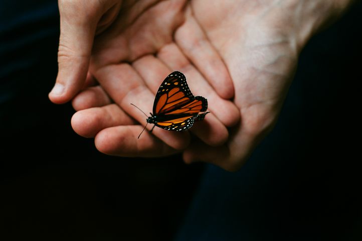 person-2607255__480